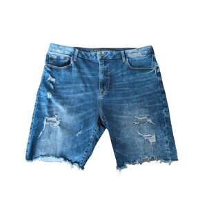 American Eagle Men's Distressed Extreme Flex Denim Shorts - Size 40 Inseam 9"